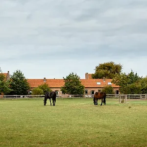 Het Zwaluwnest Middelkerke
